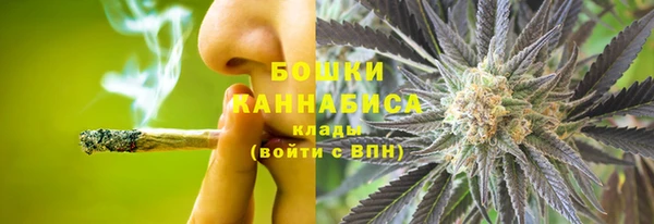 индика Вязники