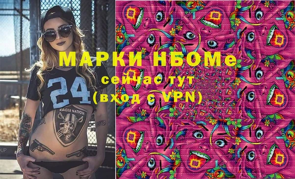 индика Вязники